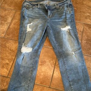 Catherines Vintage Stretch